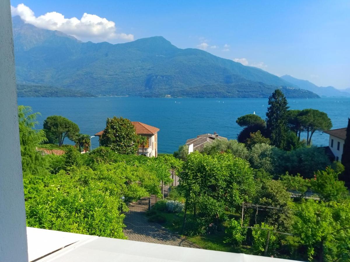 My Holidays - Camere Dei Fiori غْرافيدونا المظهر الخارجي الصورة